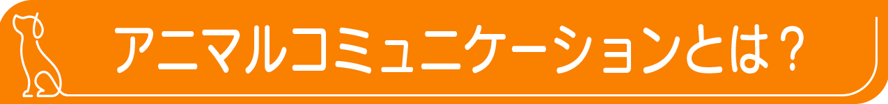 アニマルコミュニケーションとは？