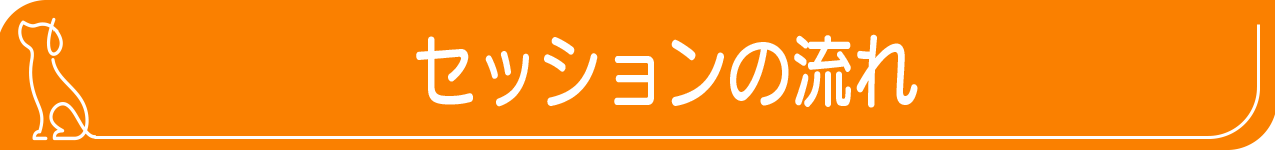 セッションの流れ