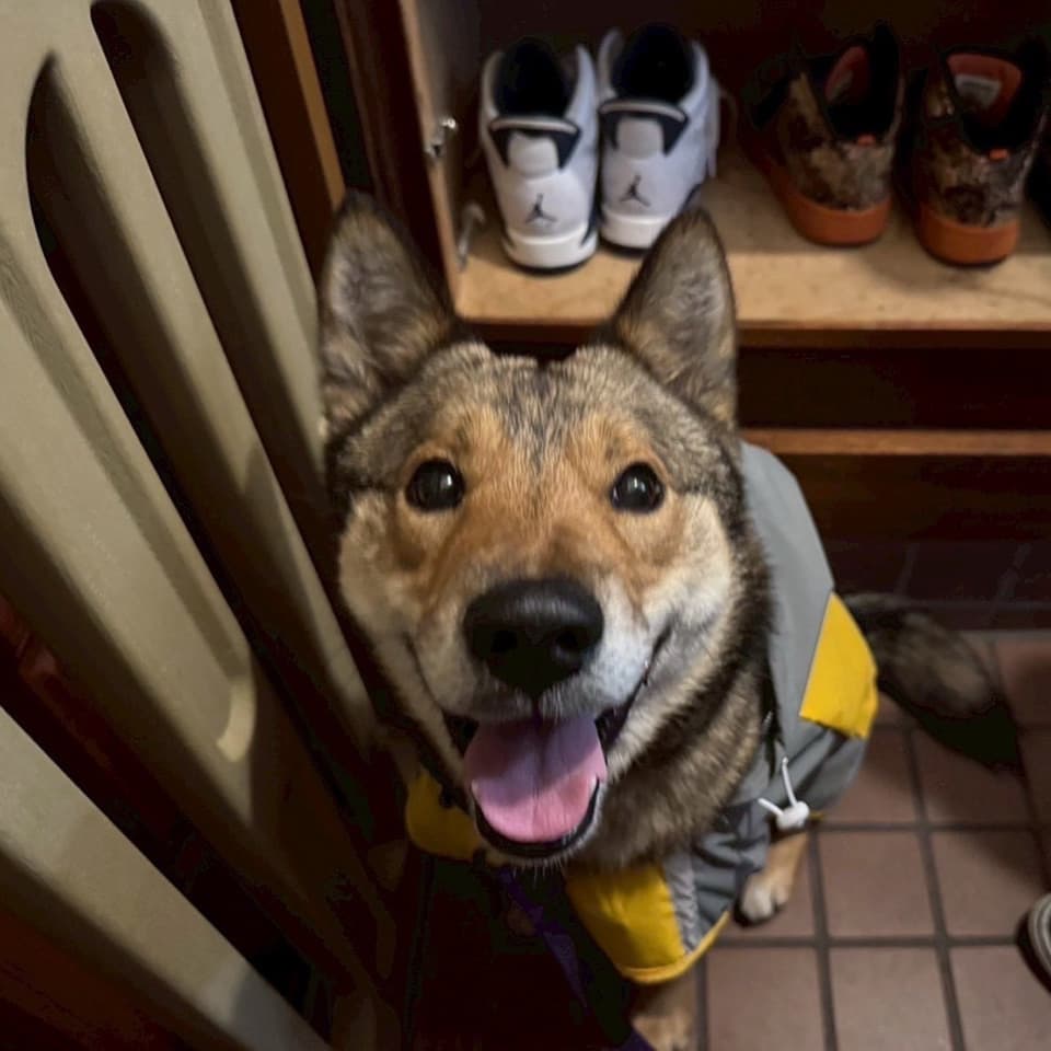 東京都 テディ君