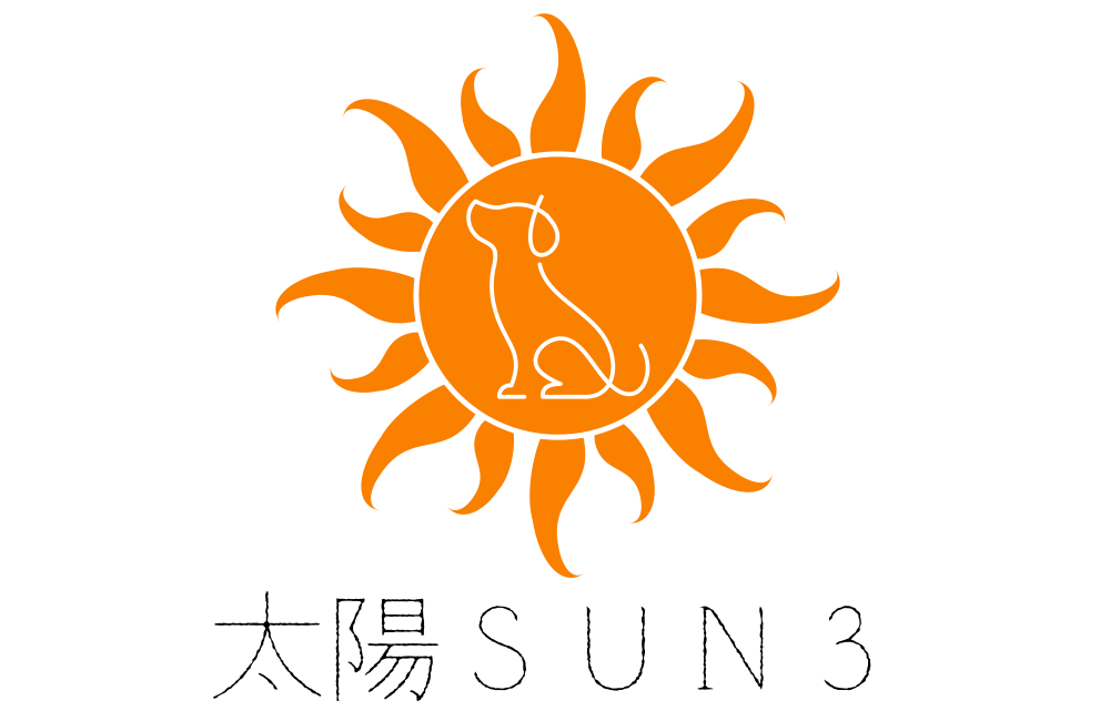 太陽SUN3