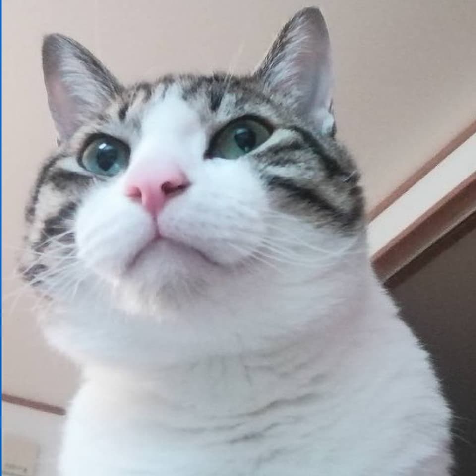 和男(かずお)くん 4歳