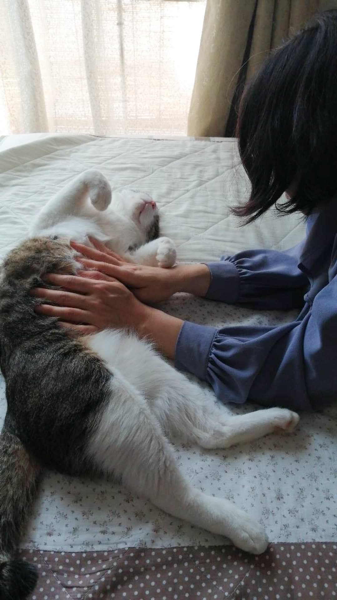 良男(よしお)くん 静岡県