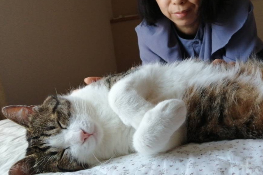 良男(よしお)くん 静岡県